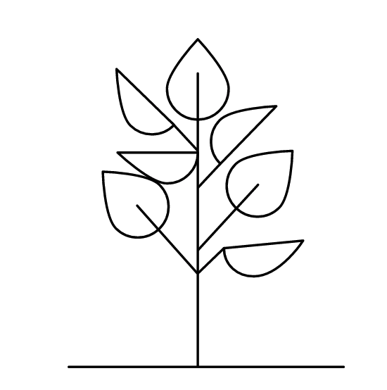 Einfache Zeichnung eines stilisierten Baumes mit Blättern.